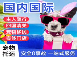 江北航空快运国际宠物托运 【国
